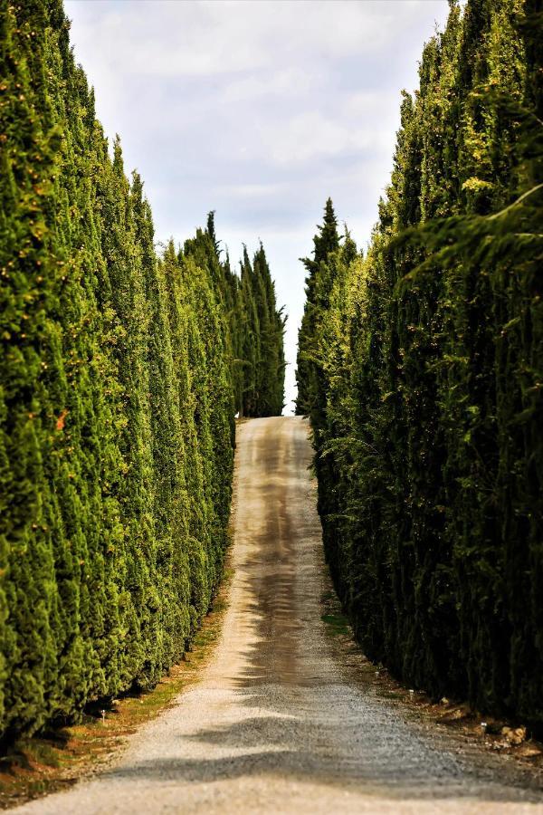 Villa Casalchino-Fattoria La Torre à San Gimignano Extérieur photo